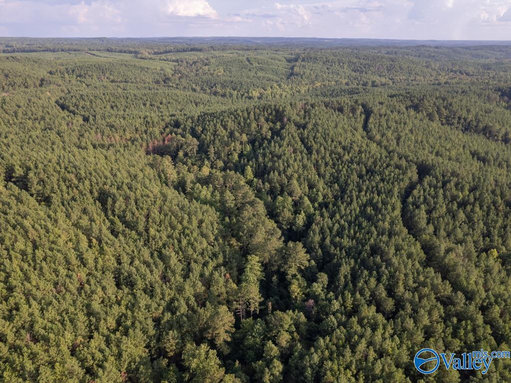 67 acres off County Road 22