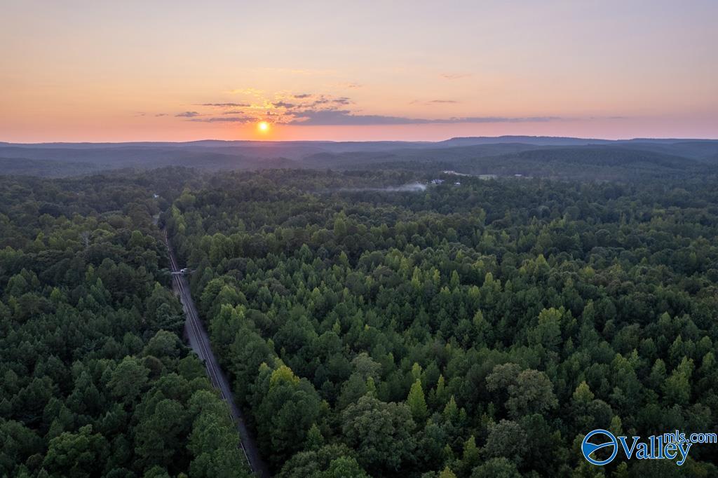 161 Acres Highway 231