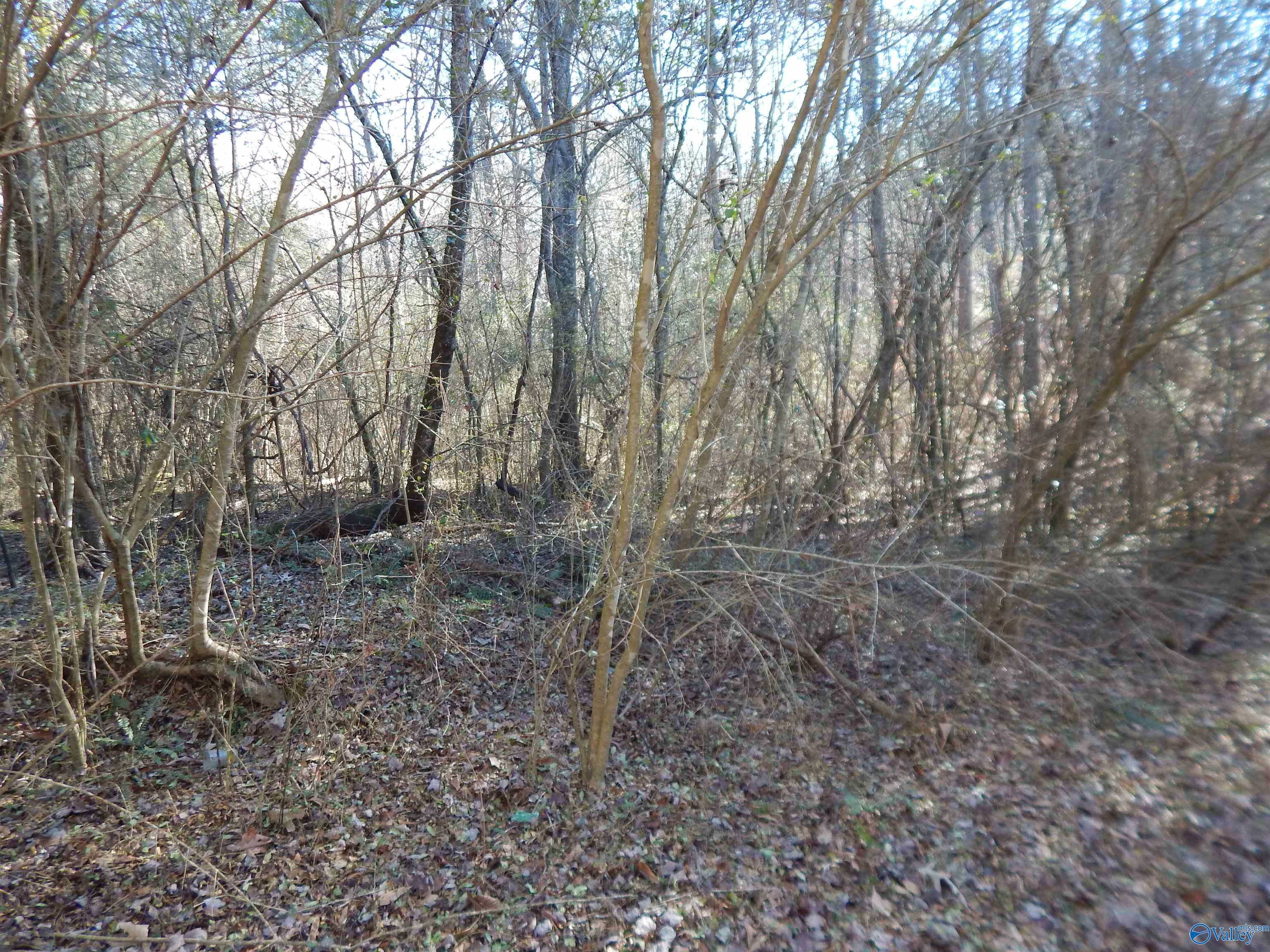 161 Acres Highway 231