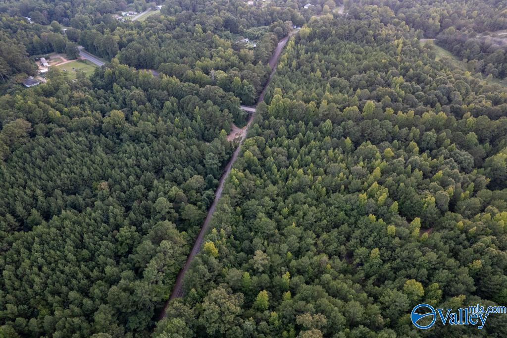 161 Acres Highway 231