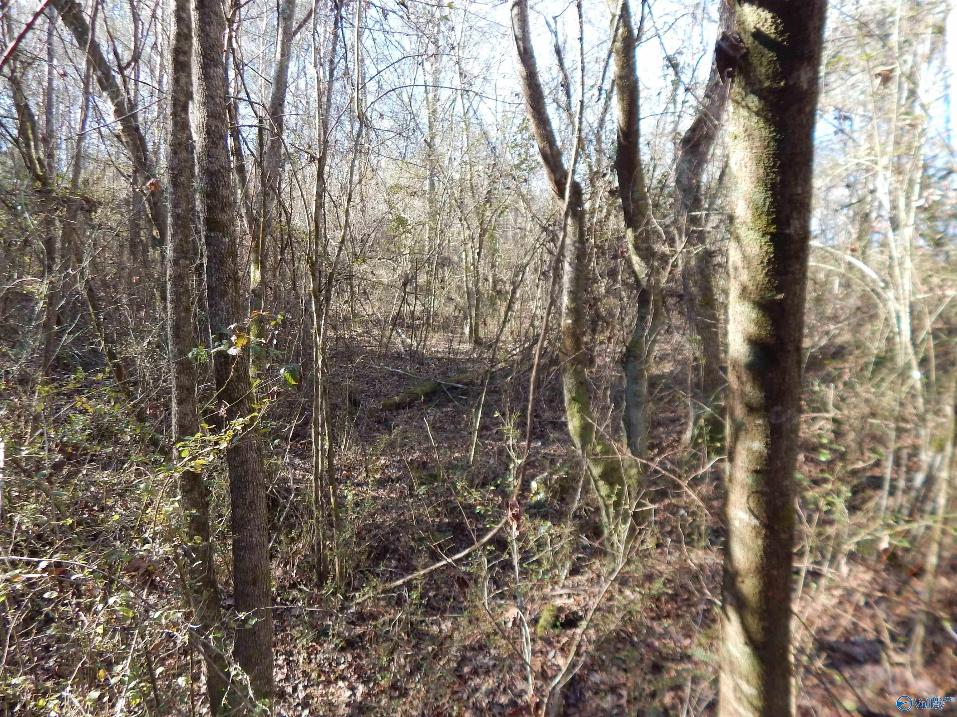 161 Acres Highway 231