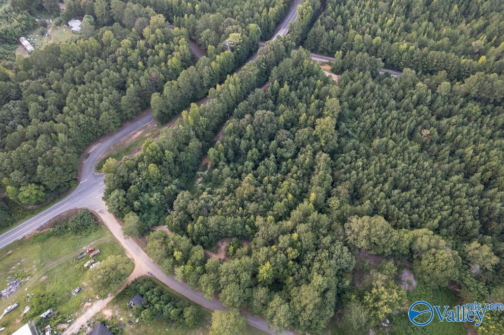 161 Acres Highway 231