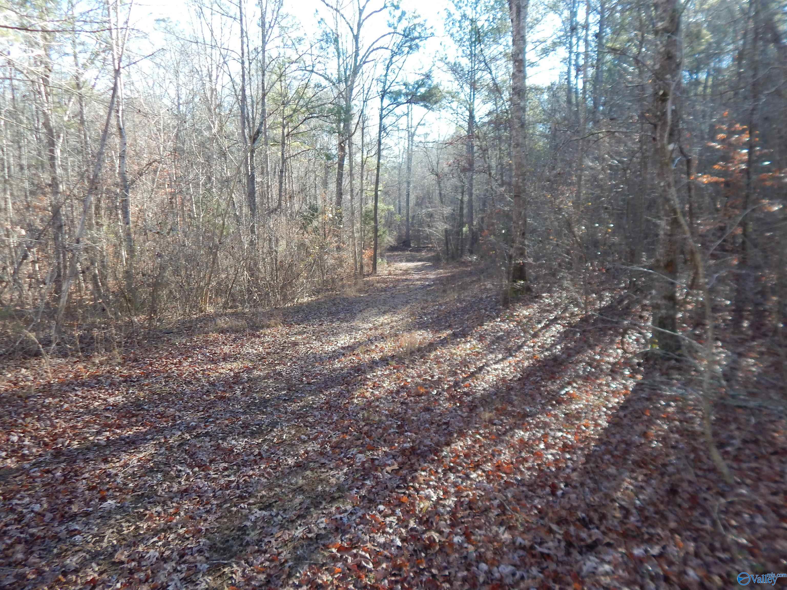161 Acres Highway 231