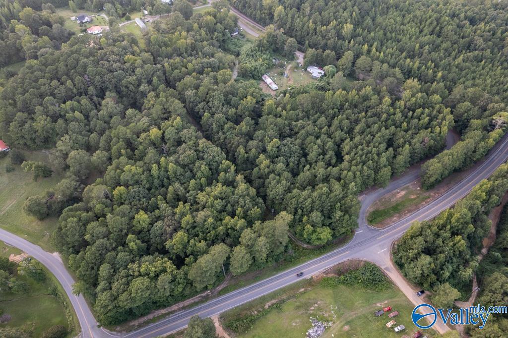 161 Acres Highway 231