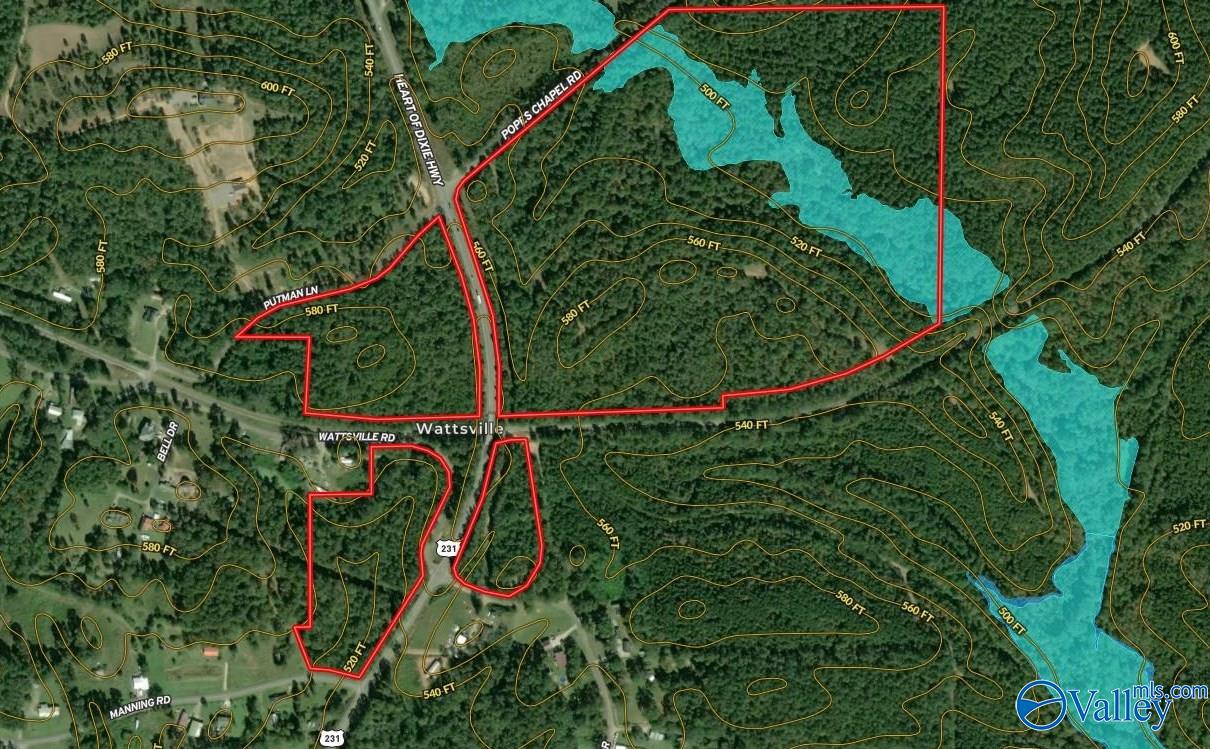 161 Acres Highway 231