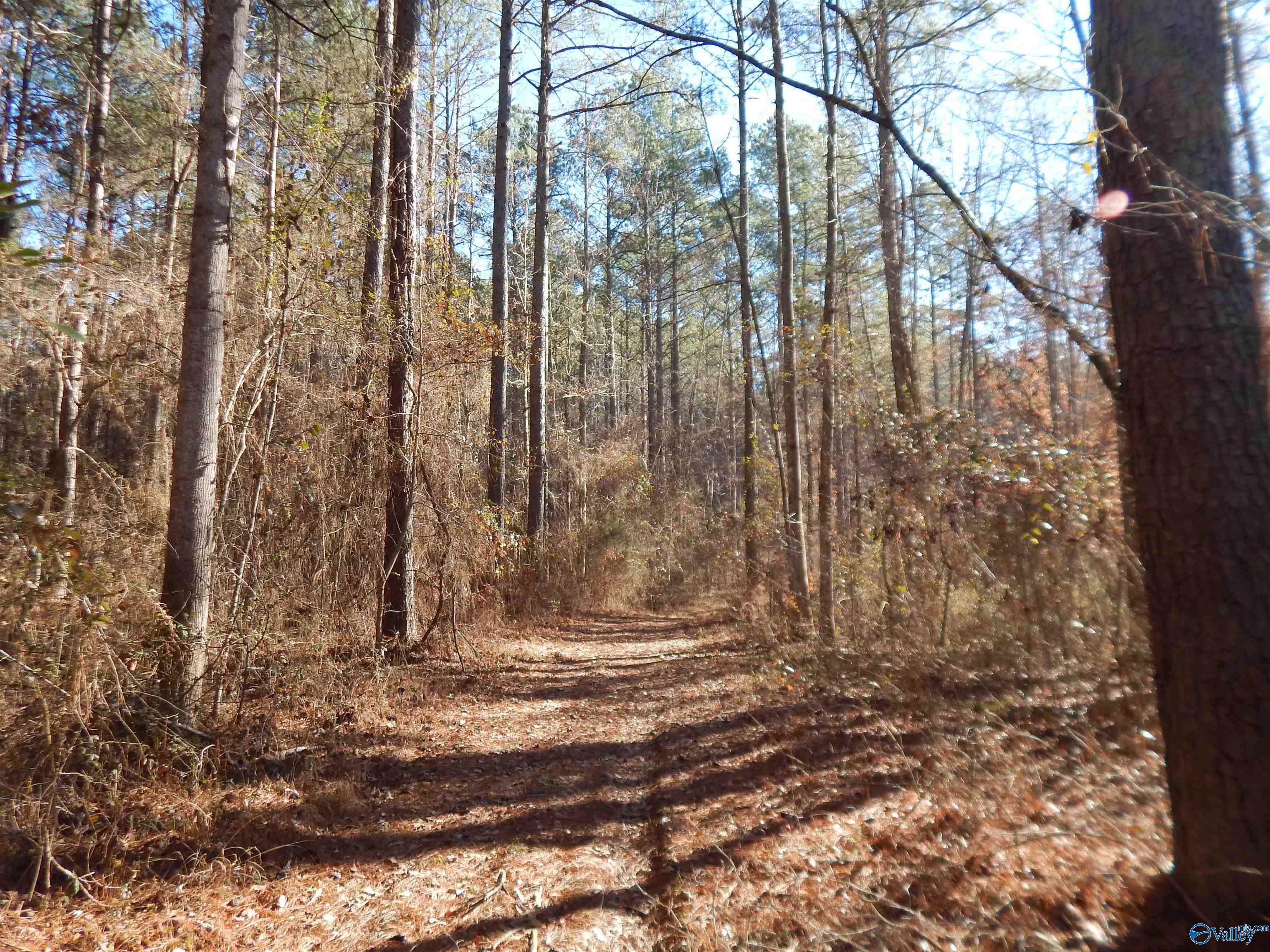 161 Acres Highway 231
