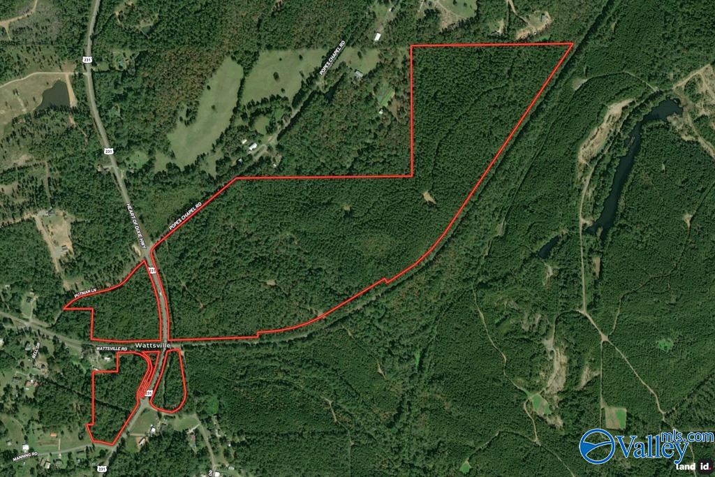 161 Acres Highway 231