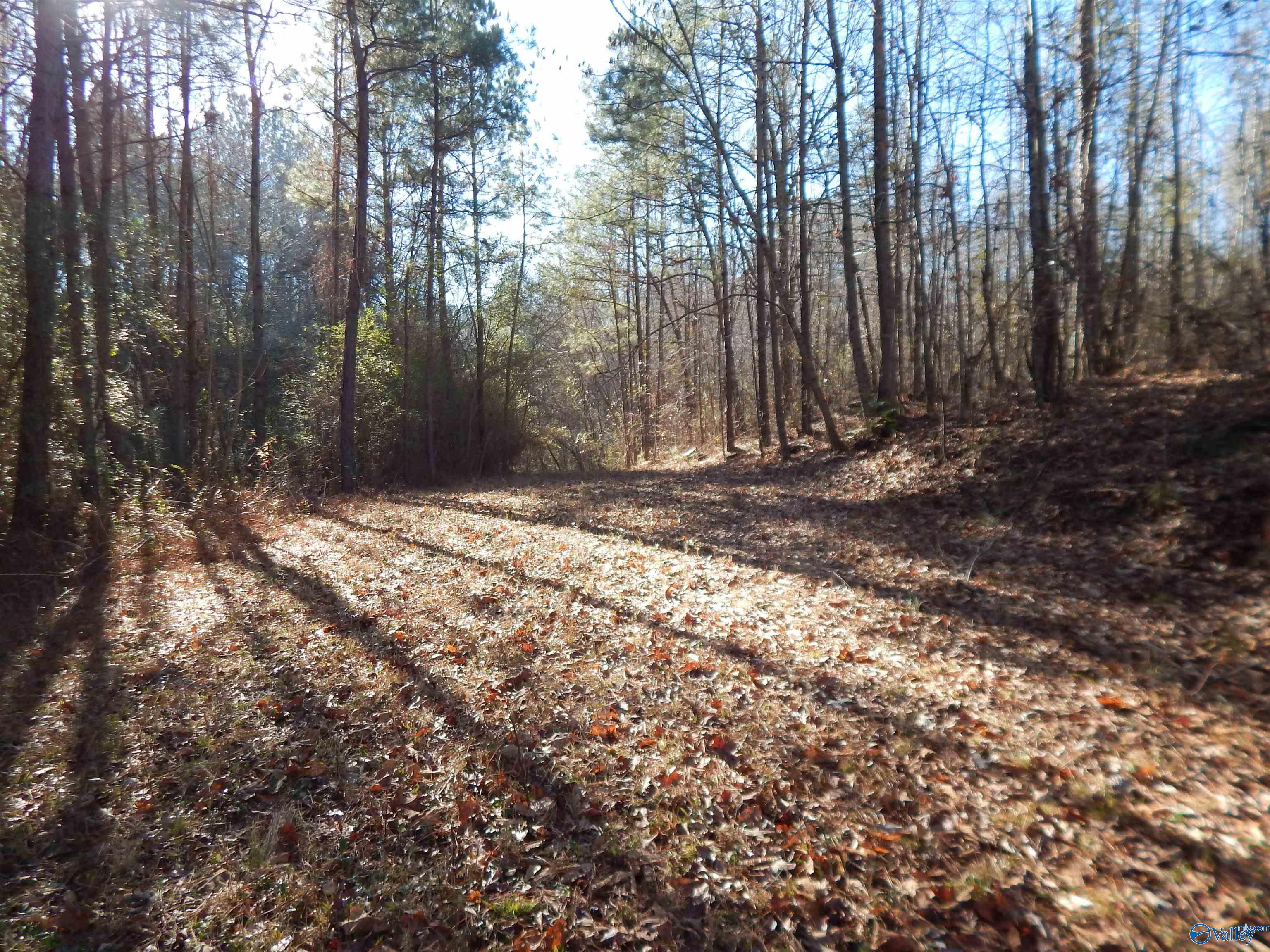161 Acres Highway 231