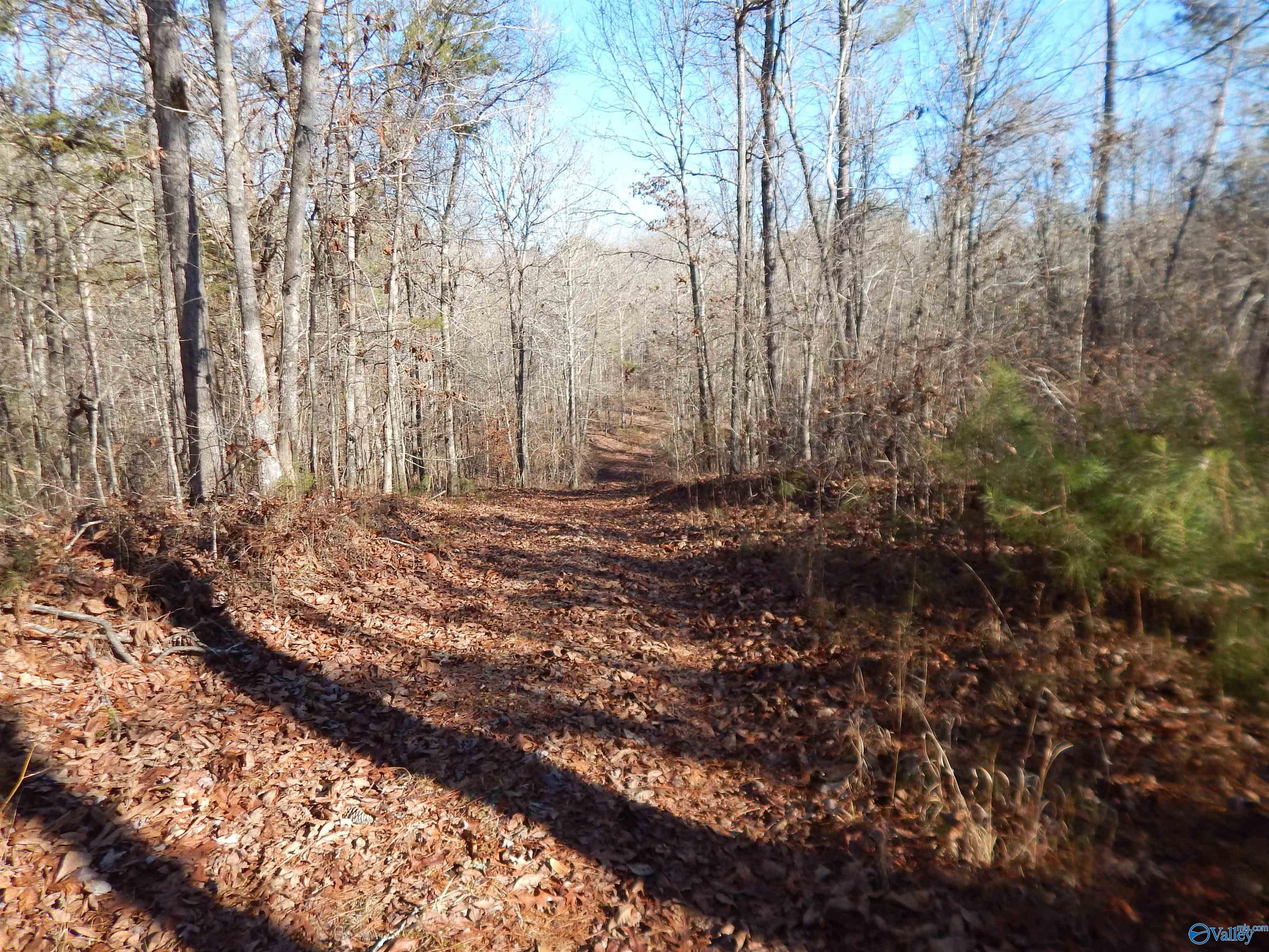 161 Acres Highway 231