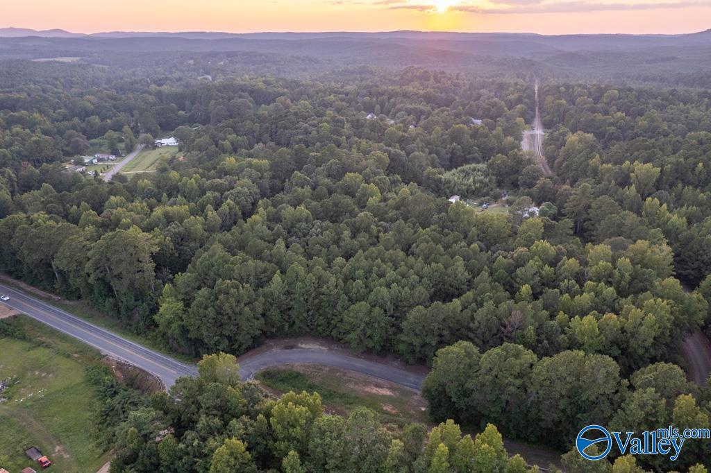 161 Acres Highway 231