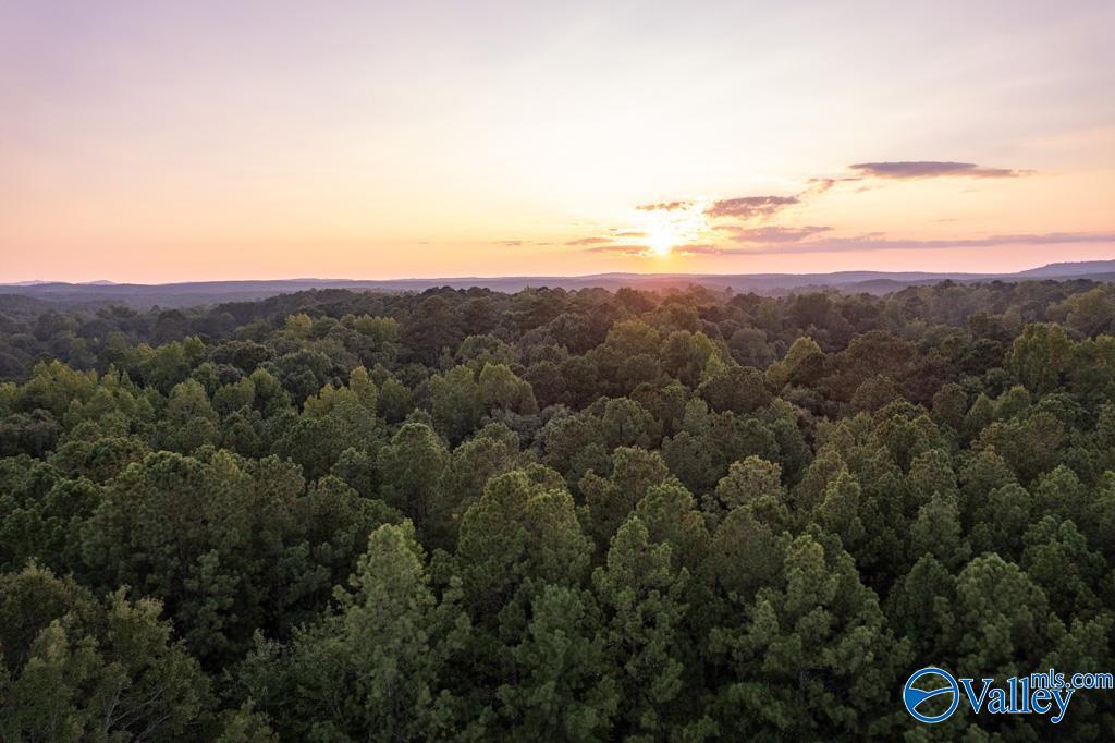161 Acres Highway 231