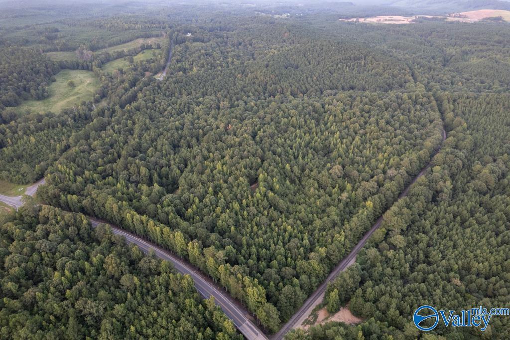 161 Acres Highway 231