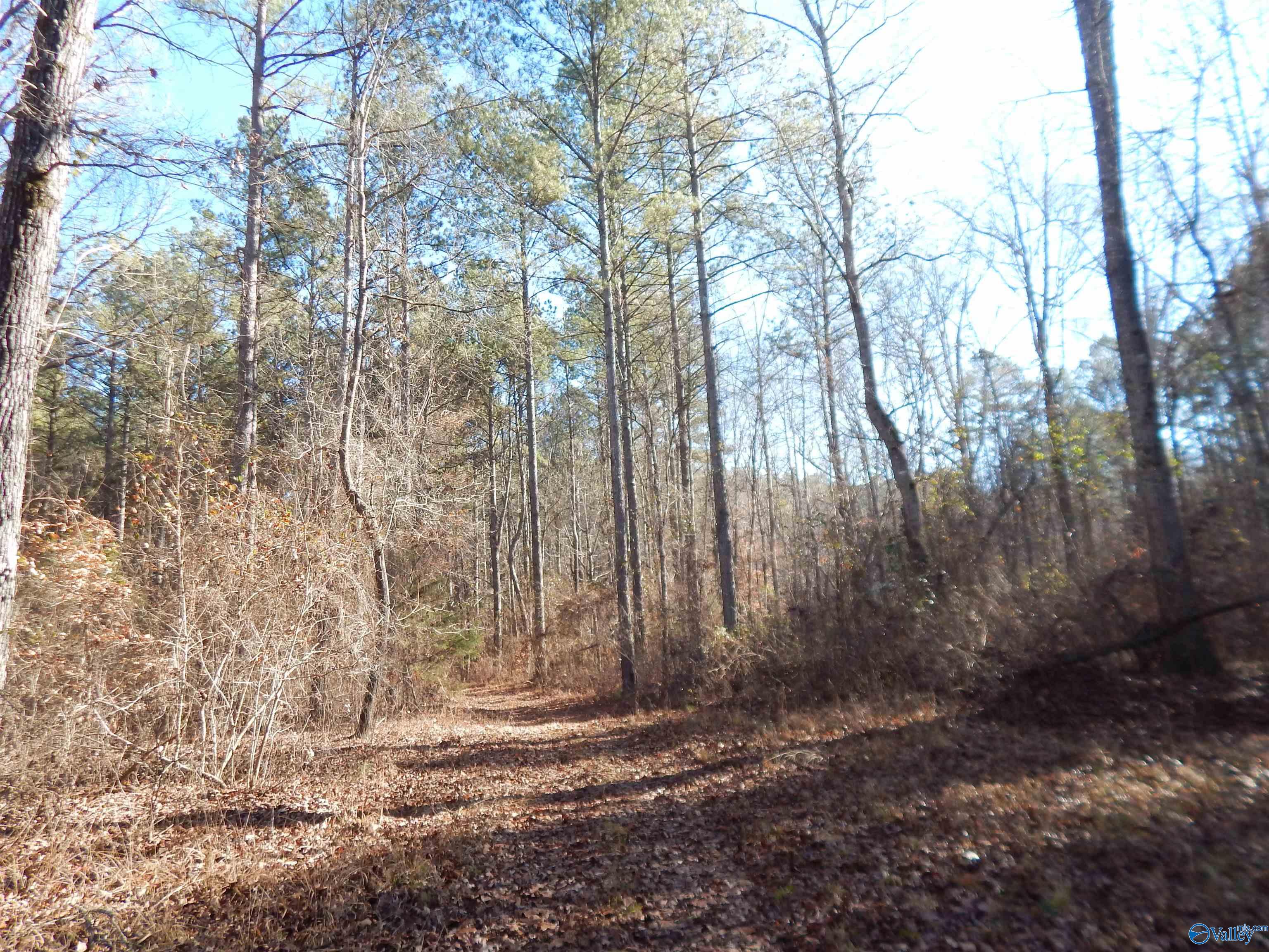 161 Acres Highway 231
