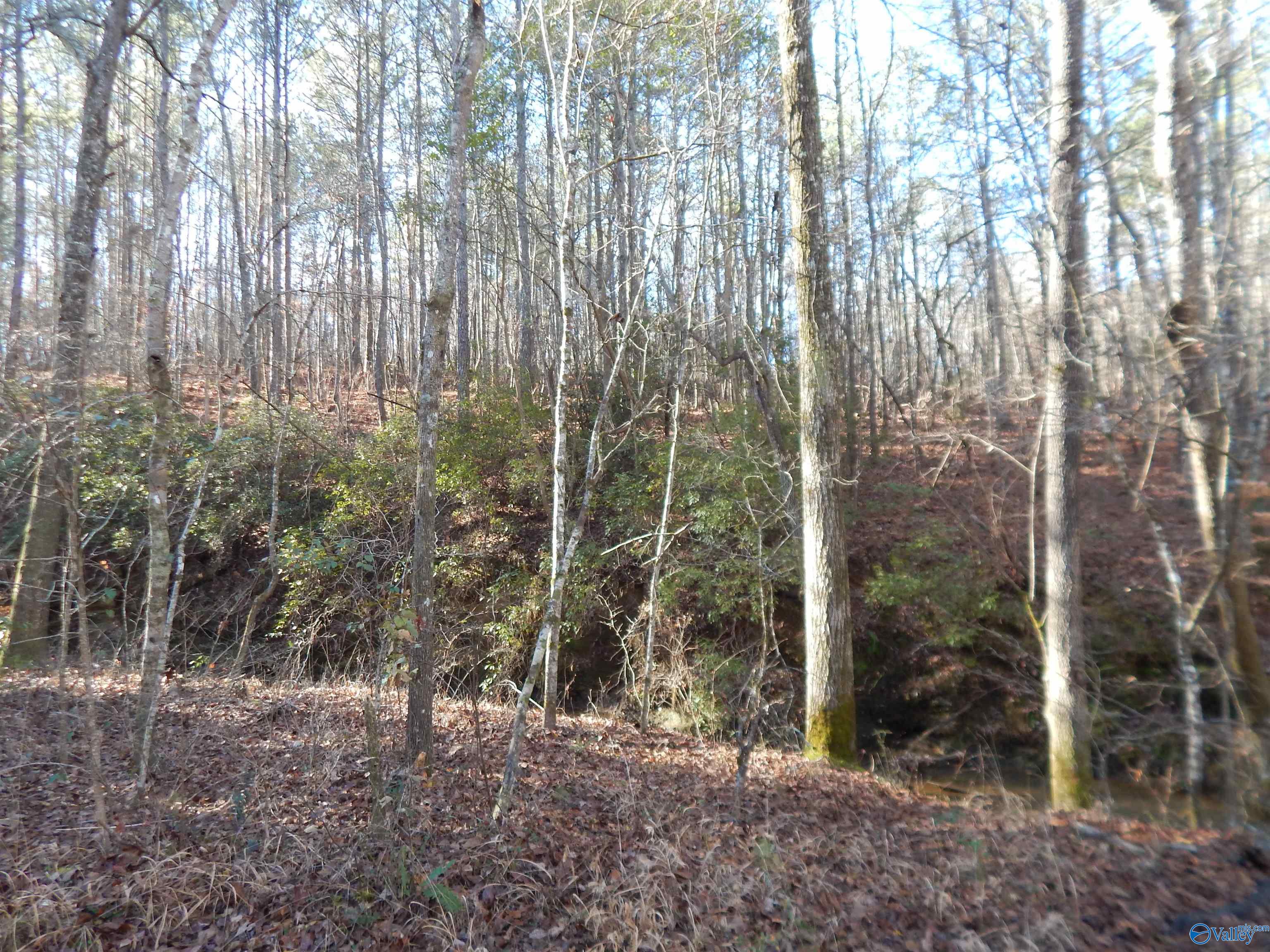 161 Acres Highway 231