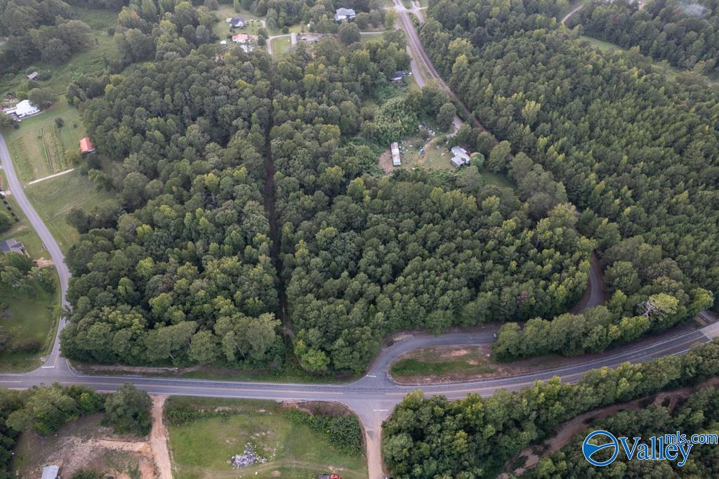 161 Acres Highway 231