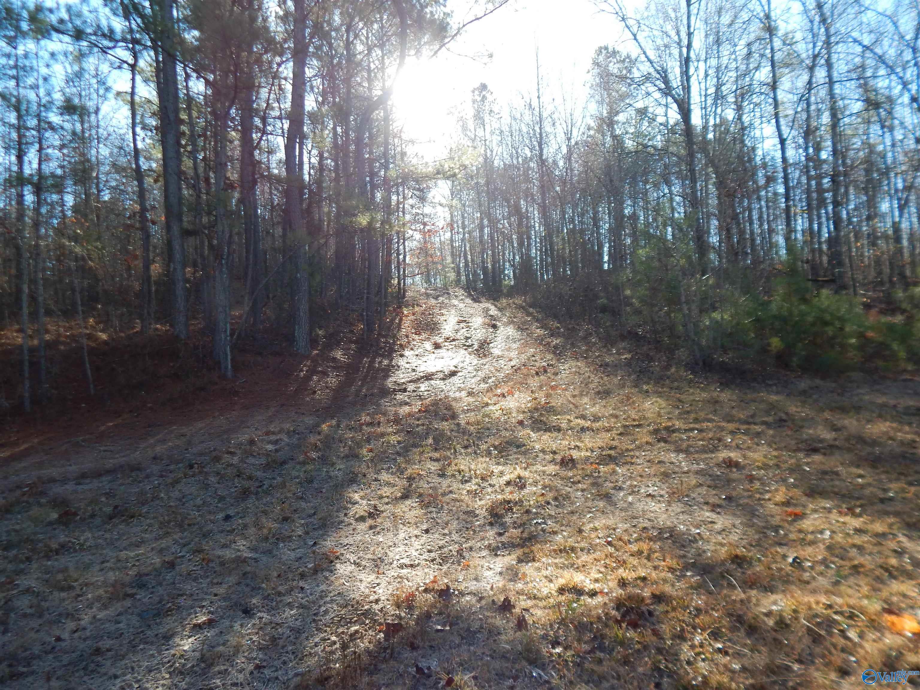 161 Acres Highway 231