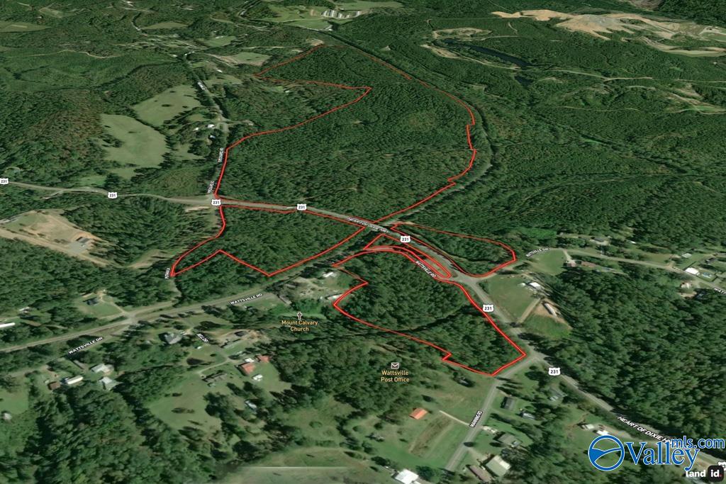 161 Acres Highway 231