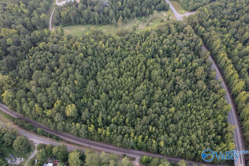 161 Acres Highway 231