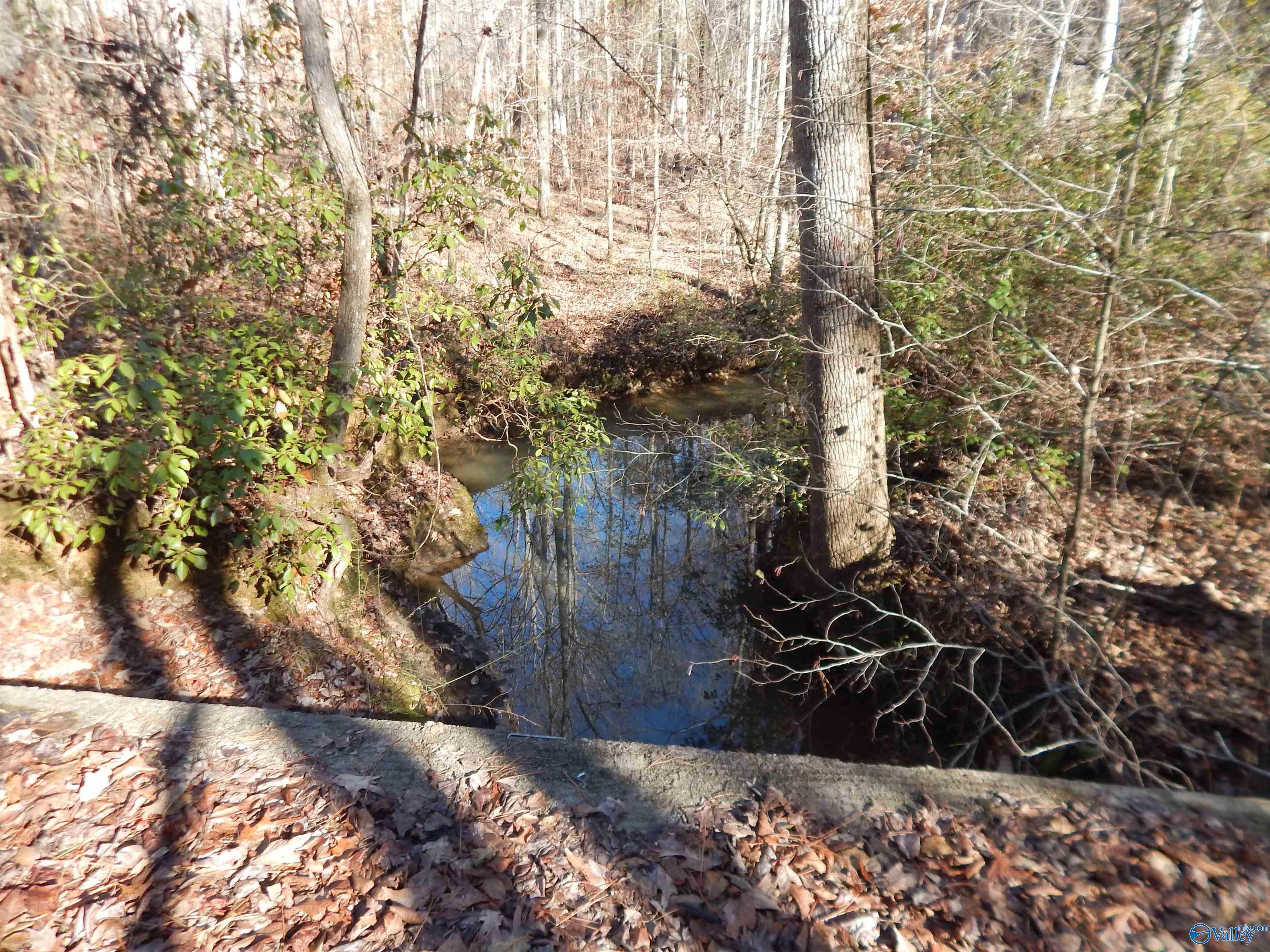 161 Acres Highway 231