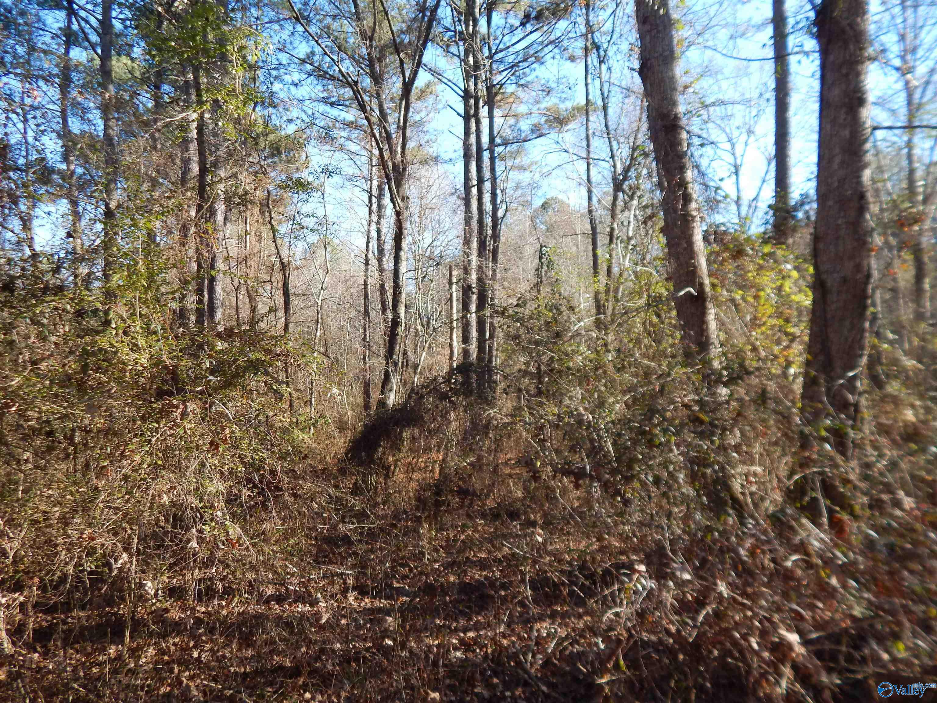 161 Acres Highway 231