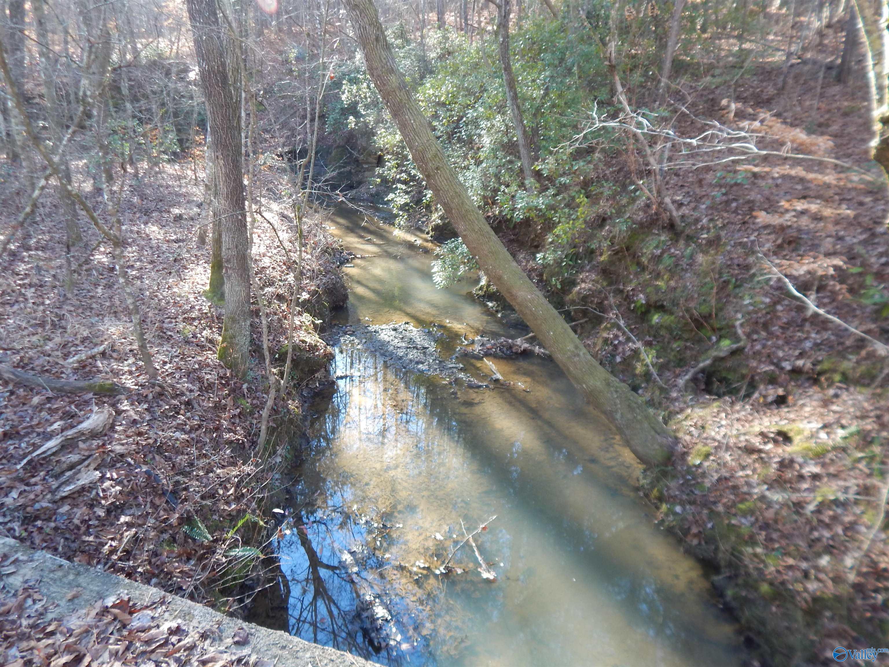 161 Acres Highway 231