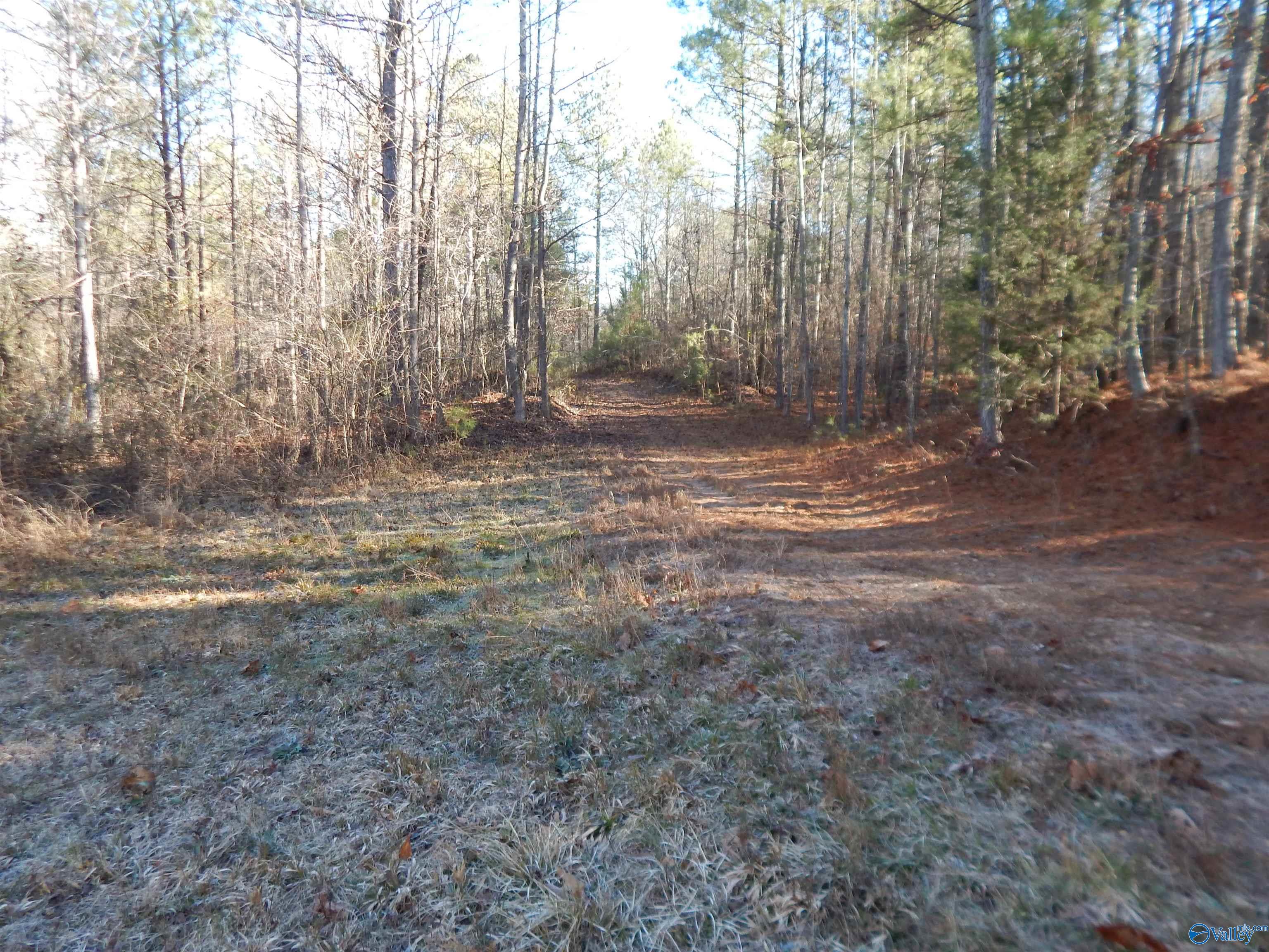 161 Acres Highway 231