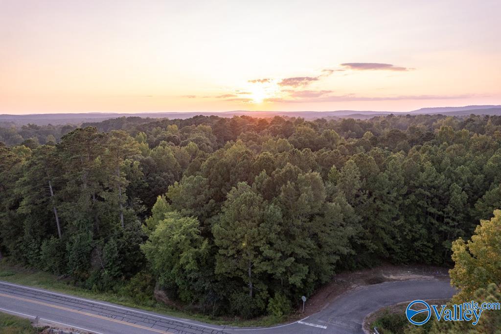 161 Acres Highway 231