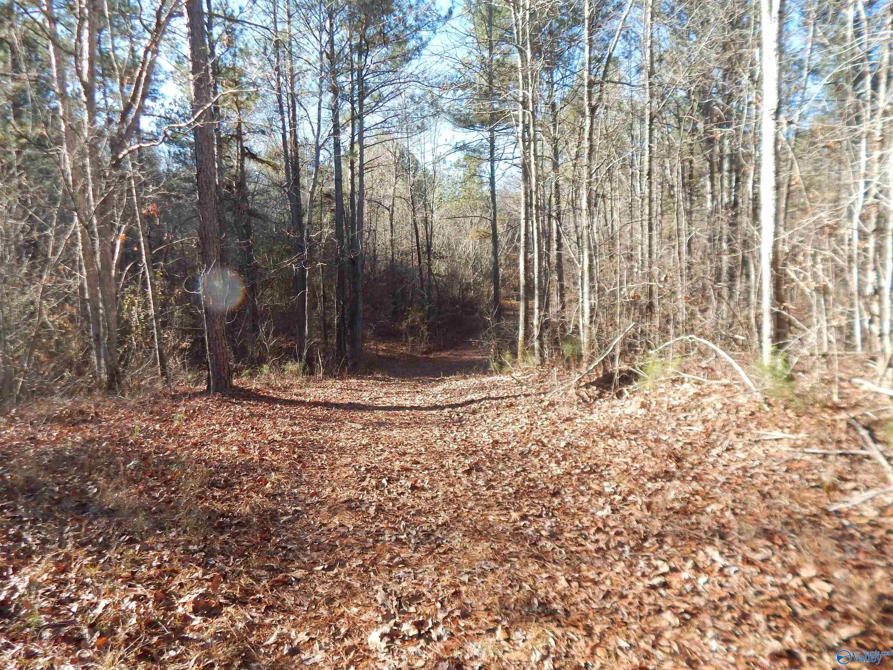 161 Acres Highway 231