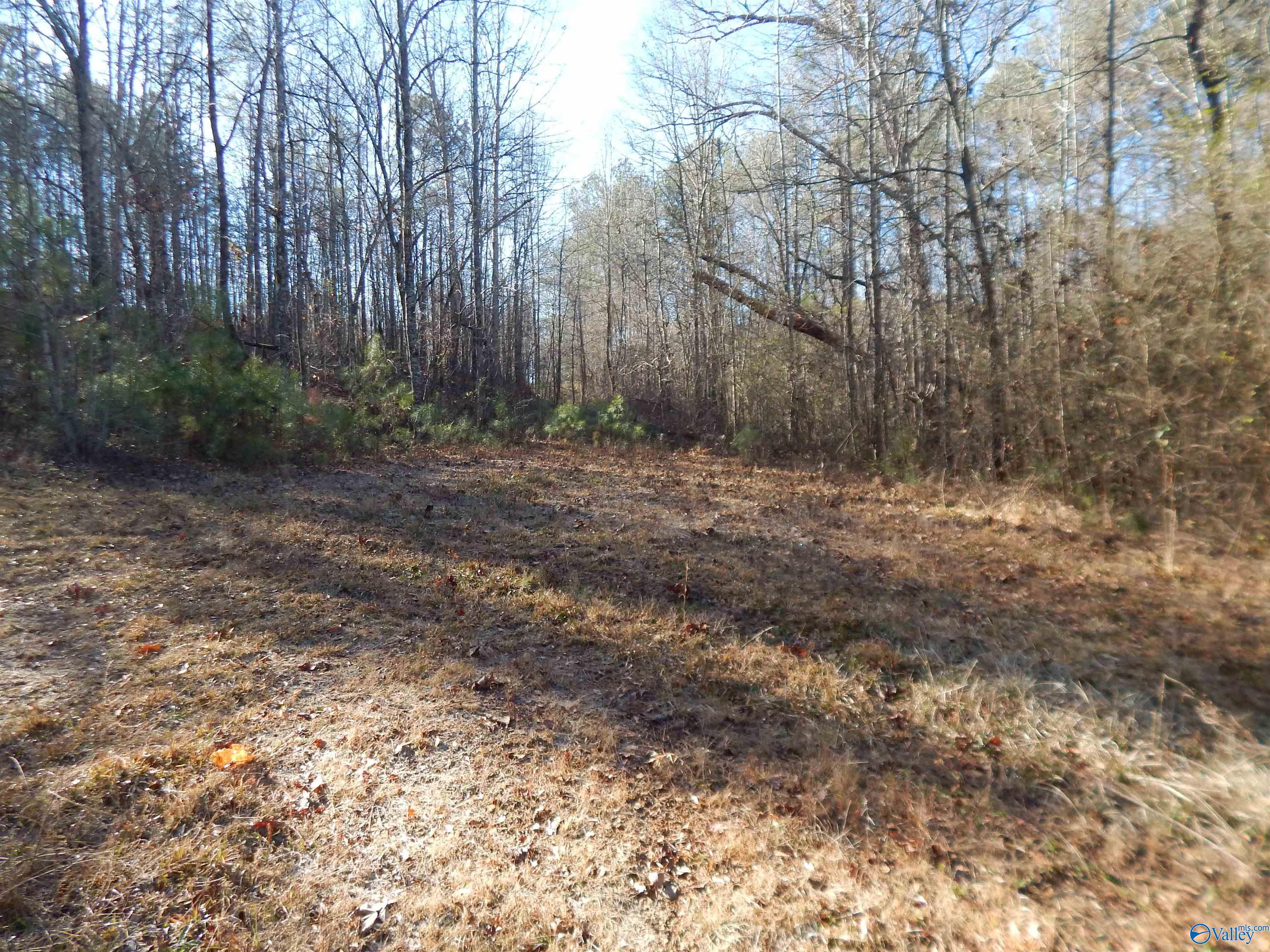 161 Acres Highway 231