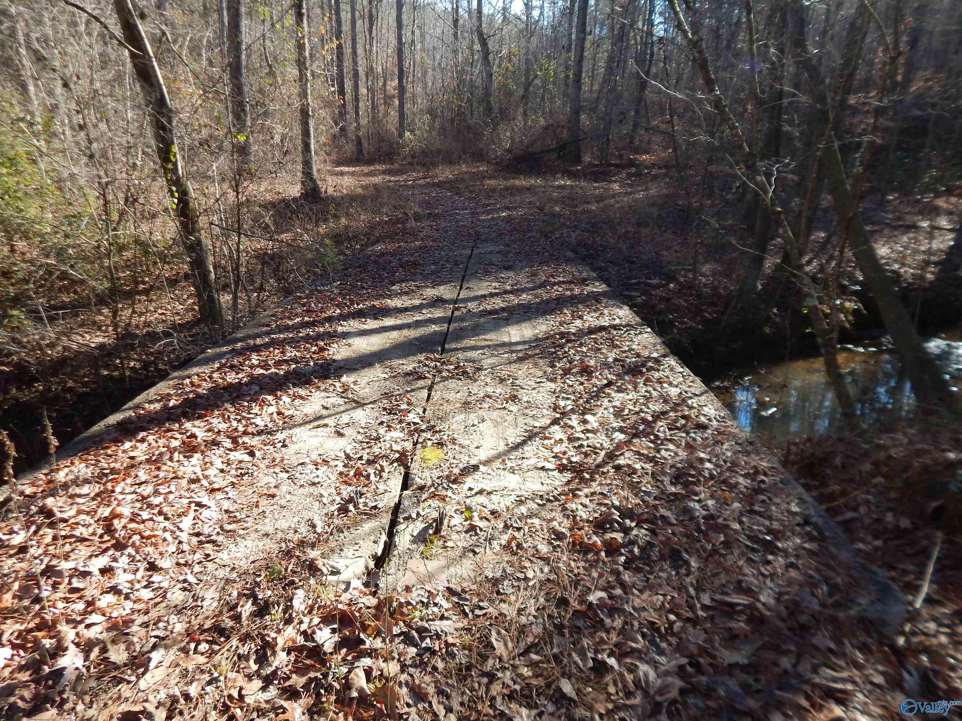 161 Acres Highway 231