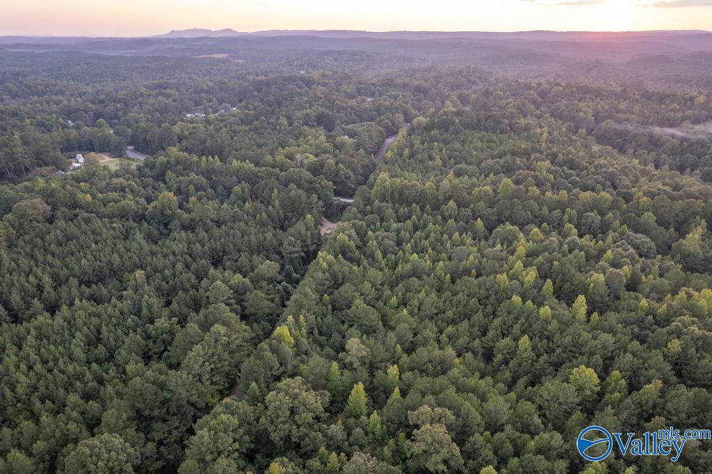 161 Acres Highway 231