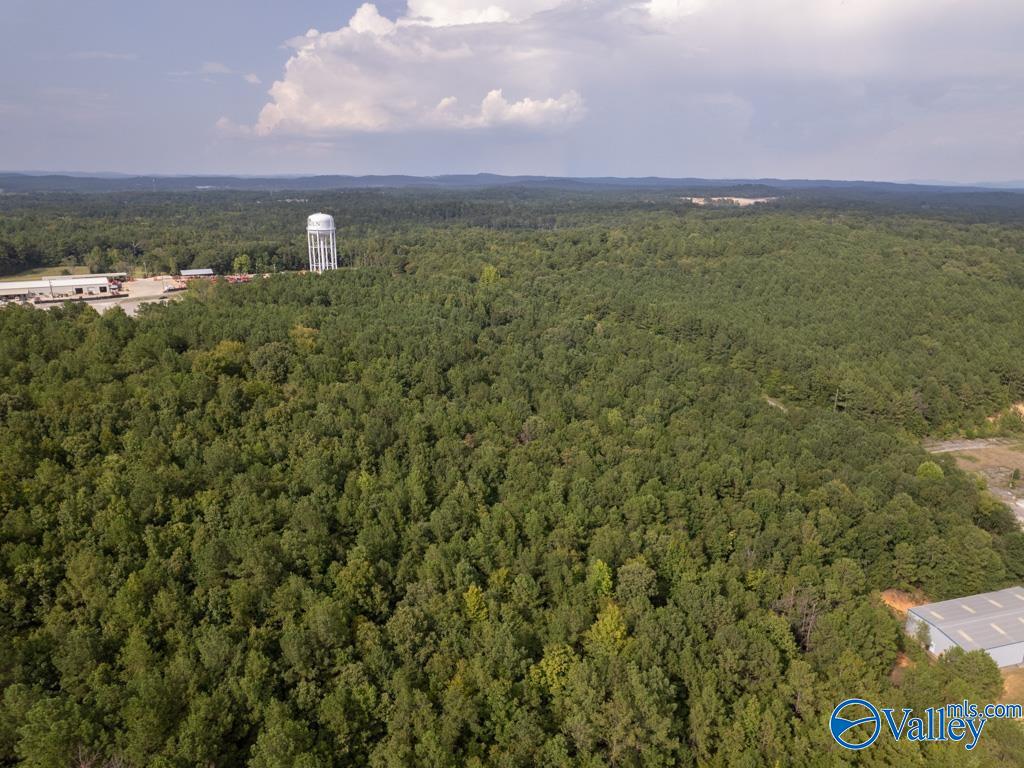 92 Acres Industrial Drive