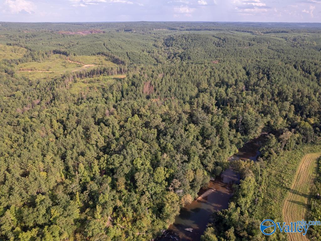 141 acres off County Road 22