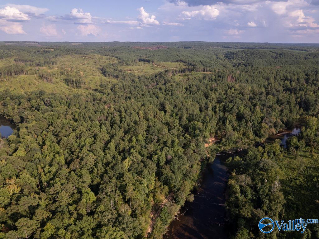 141 acres off County Road 22