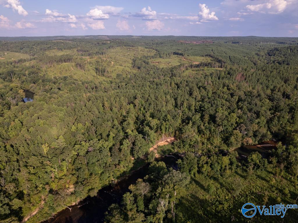141 acres off County Road 22