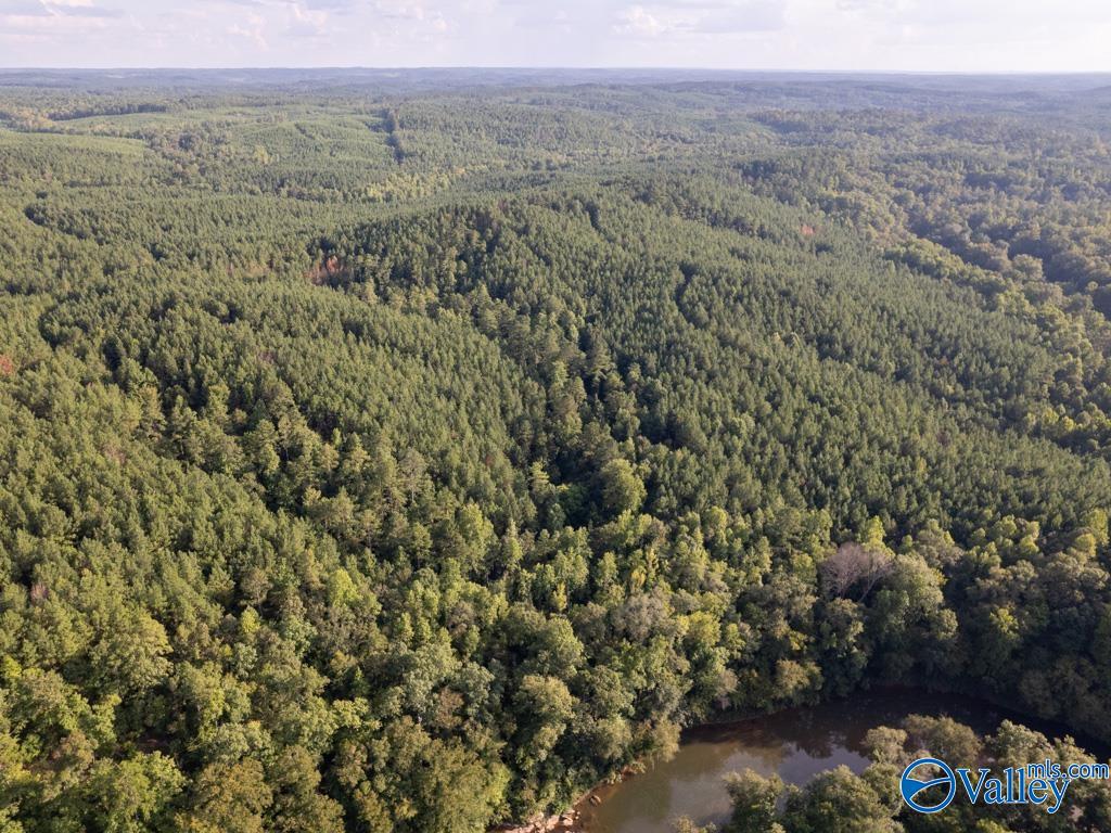 141 acres off County Road 22