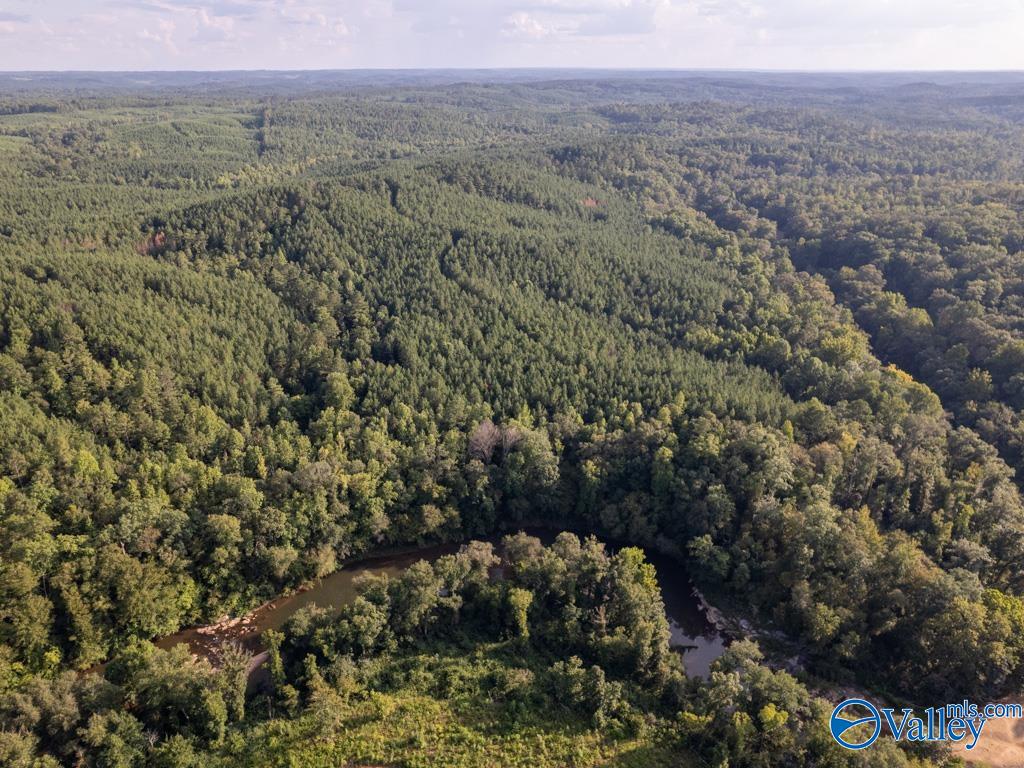 141 acres off County Road 22