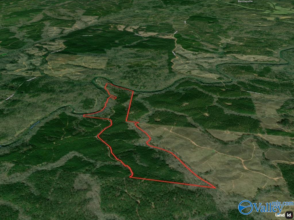 141 acres off County Road 22