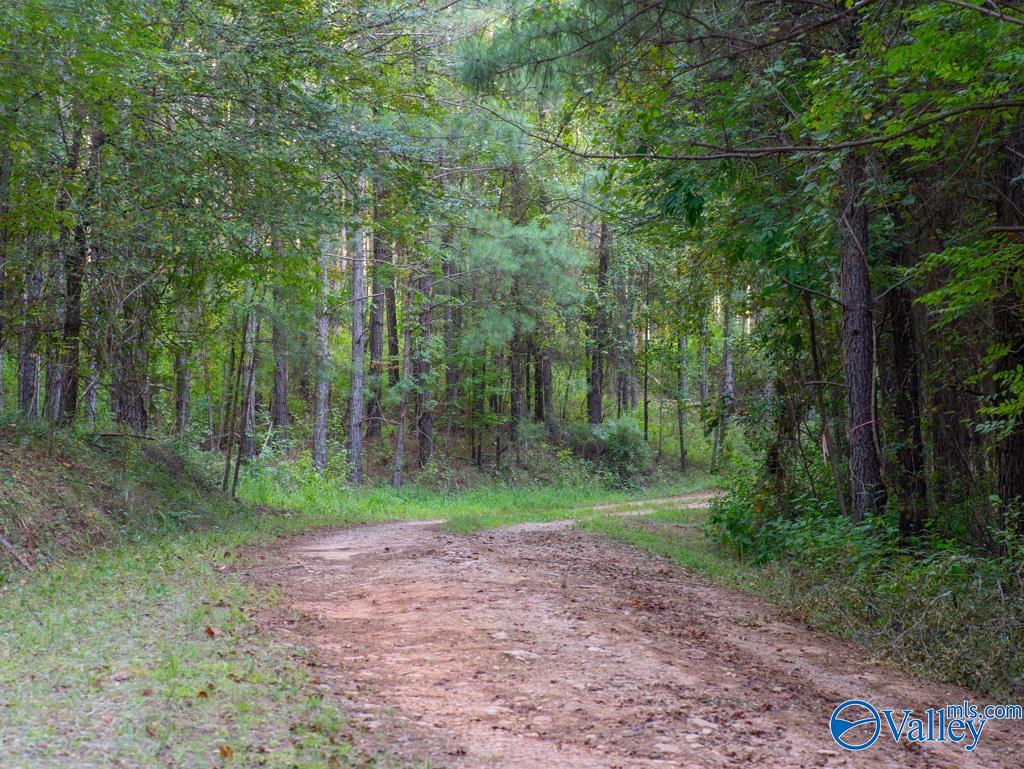141 acres off County Road 22