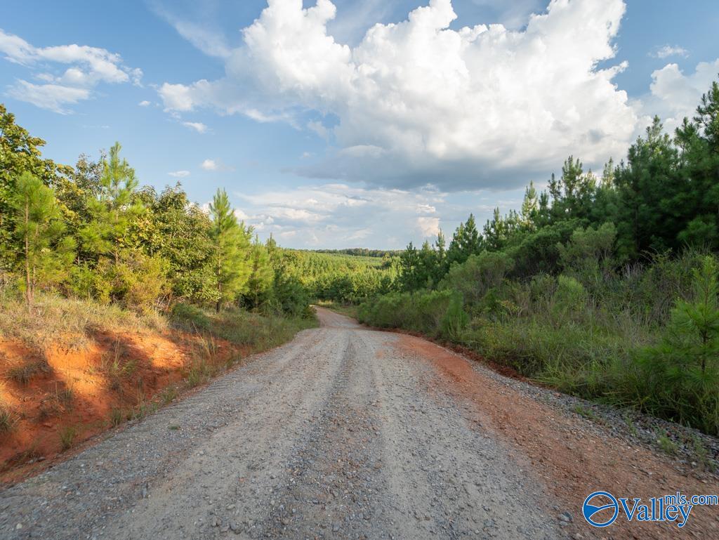 141 acres off County Road 22