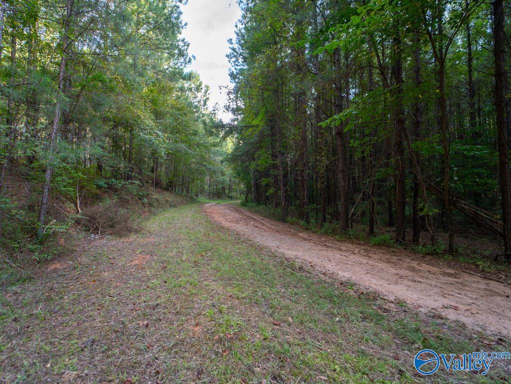 141 acres off County Road 22