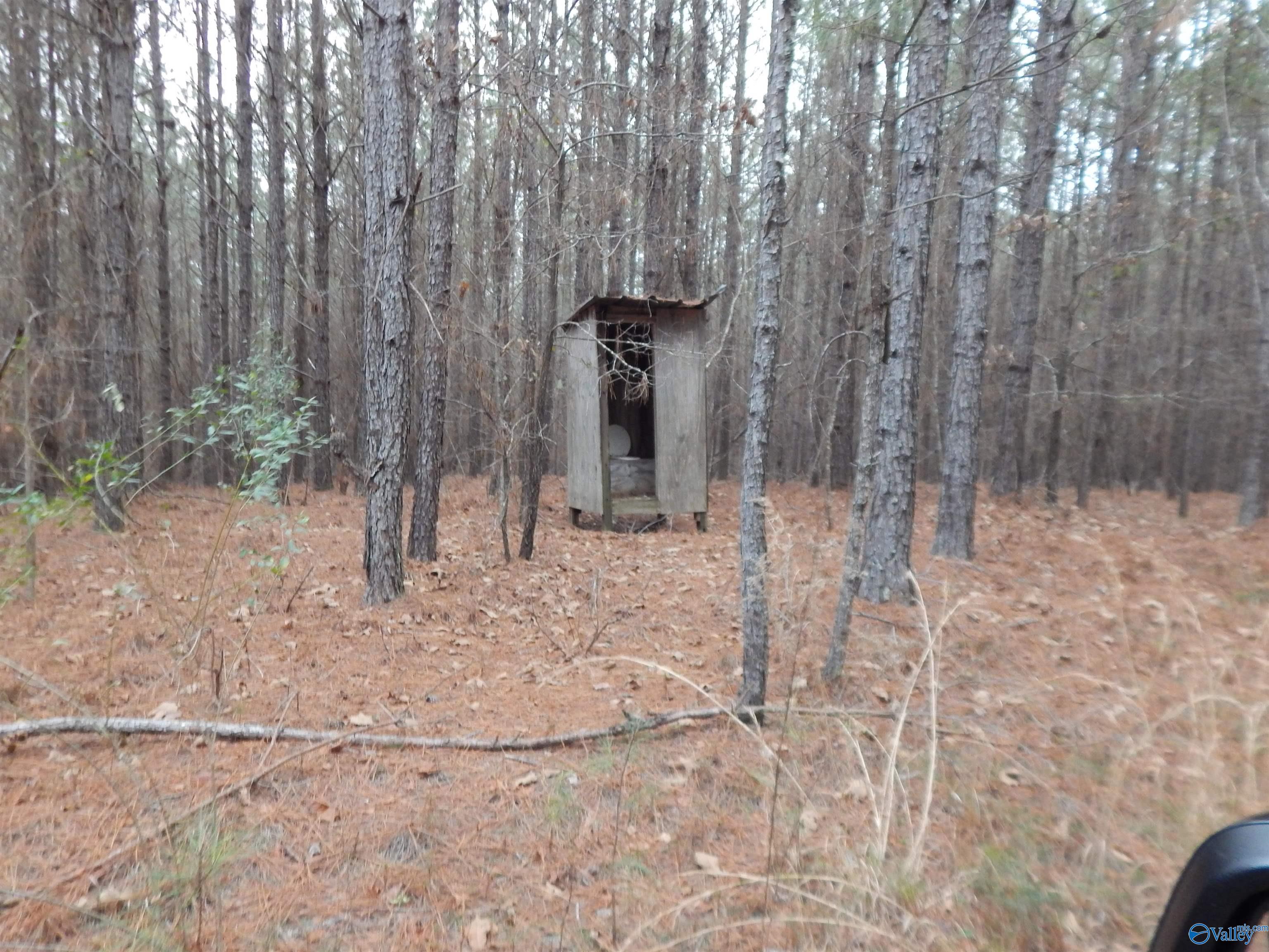 67 acres US Highway 280