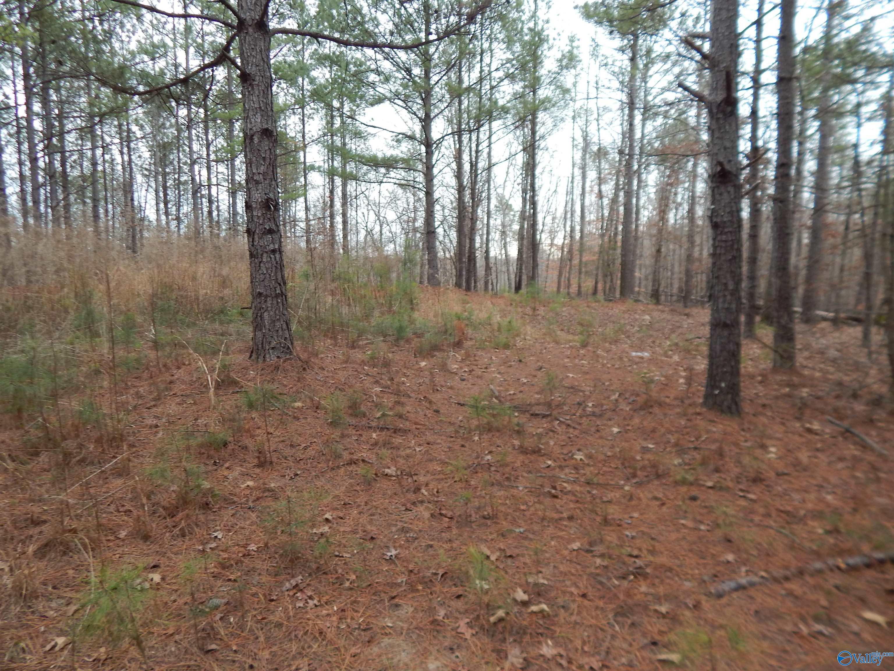 67 acres US Highway 280