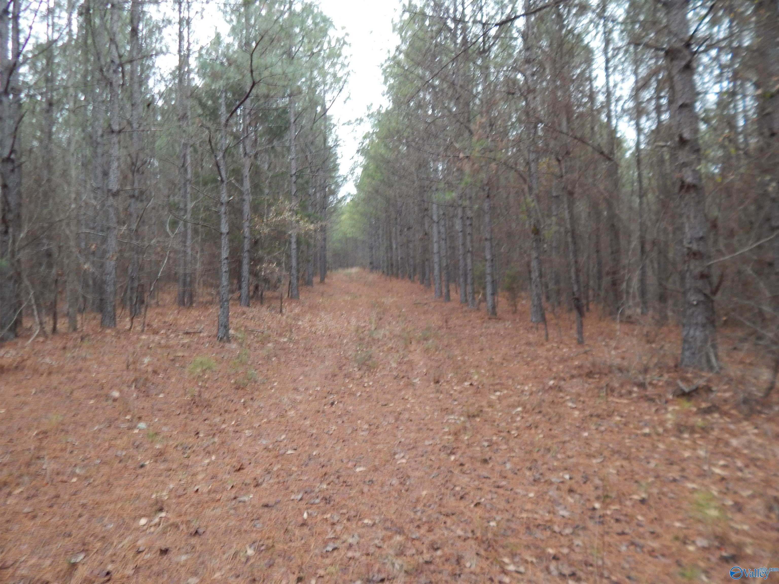 67 acres US Highway 280