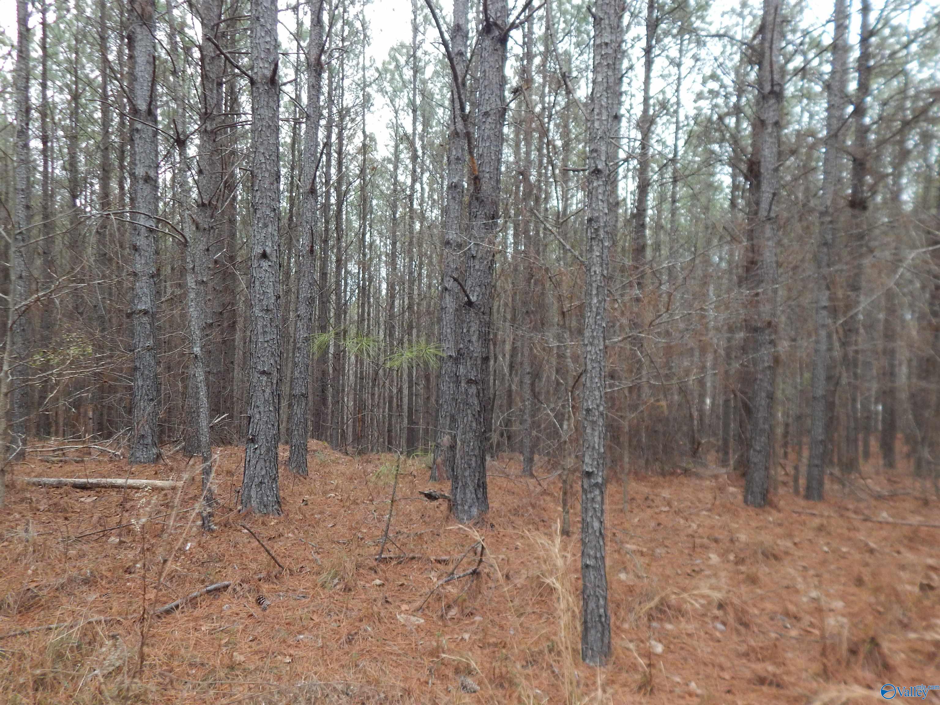 67 acres US Highway 280