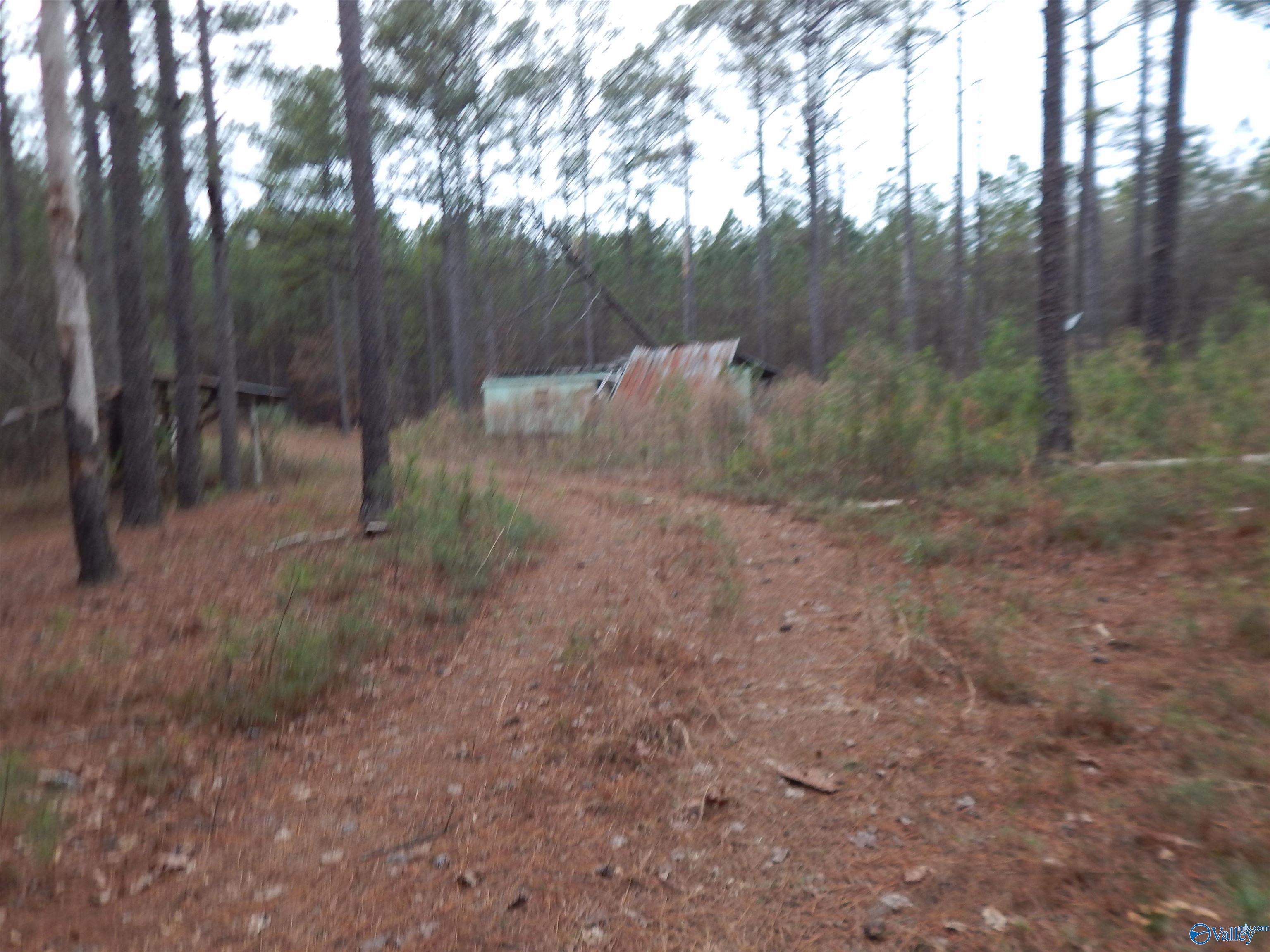 67 acres US Highway 280