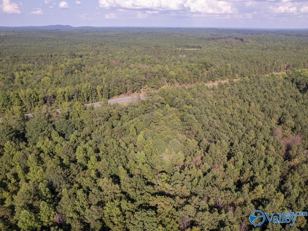 67 acres US Highway 280