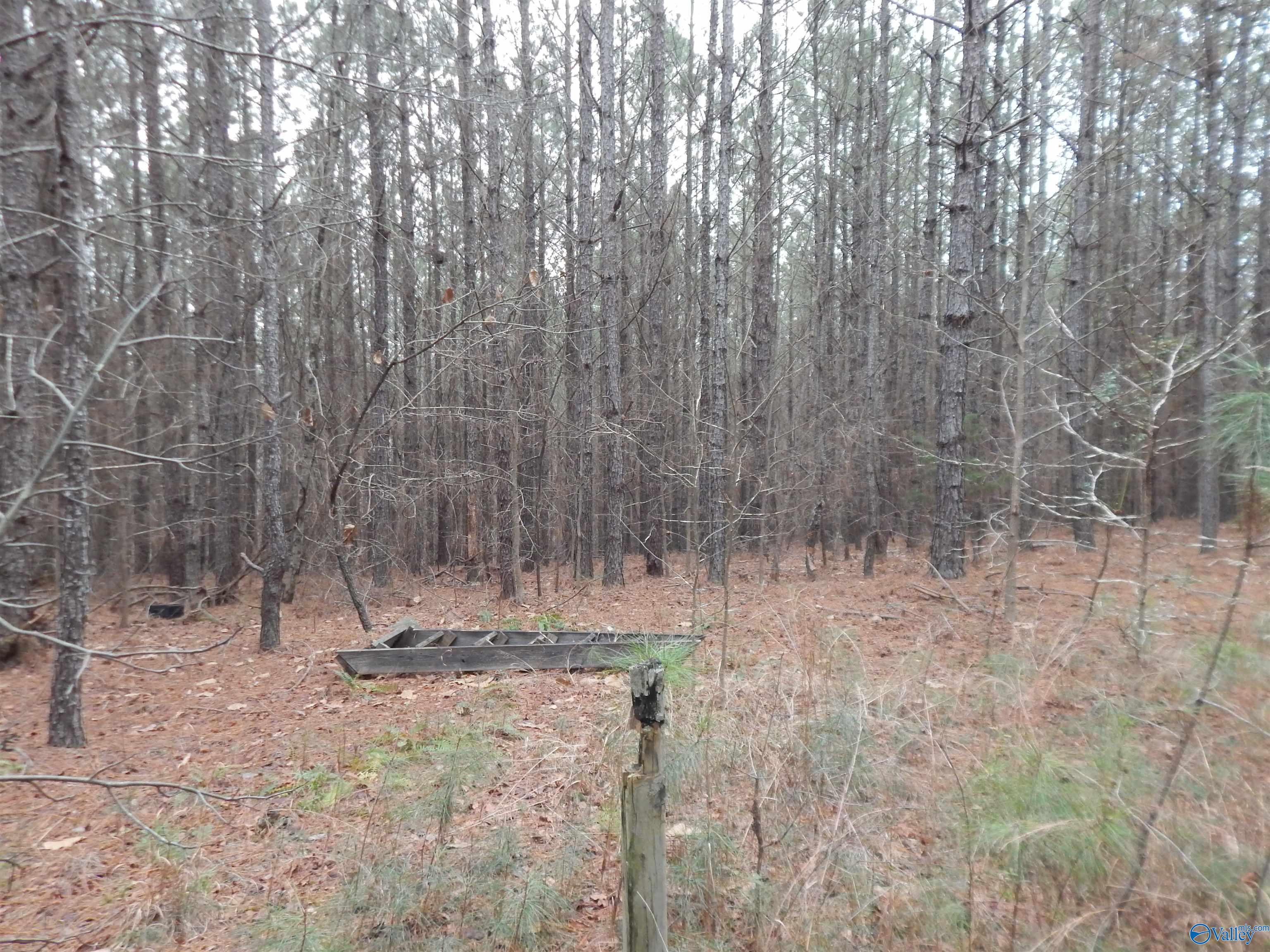 67 acres US Highway 280