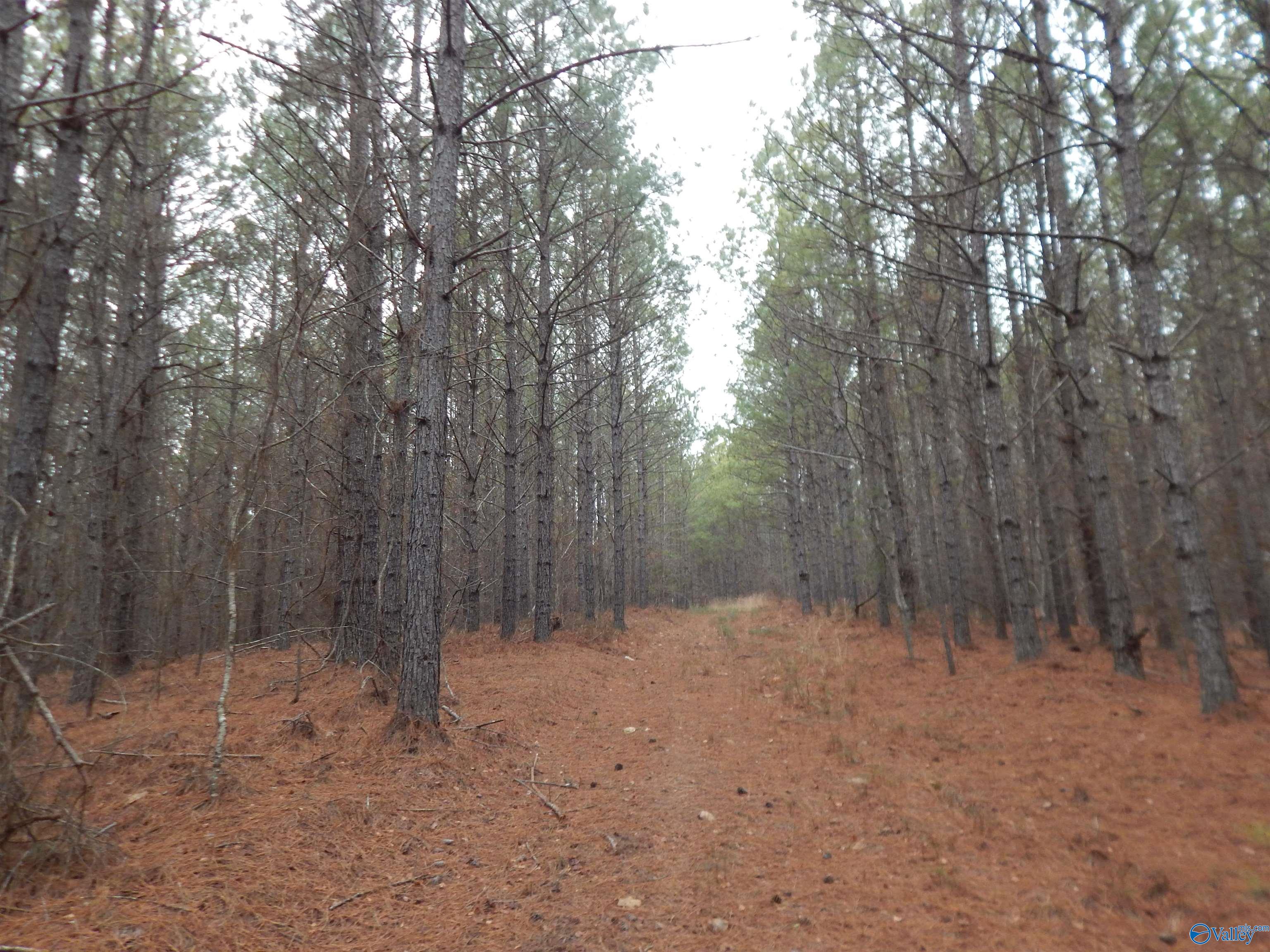 67 acres US Highway 280