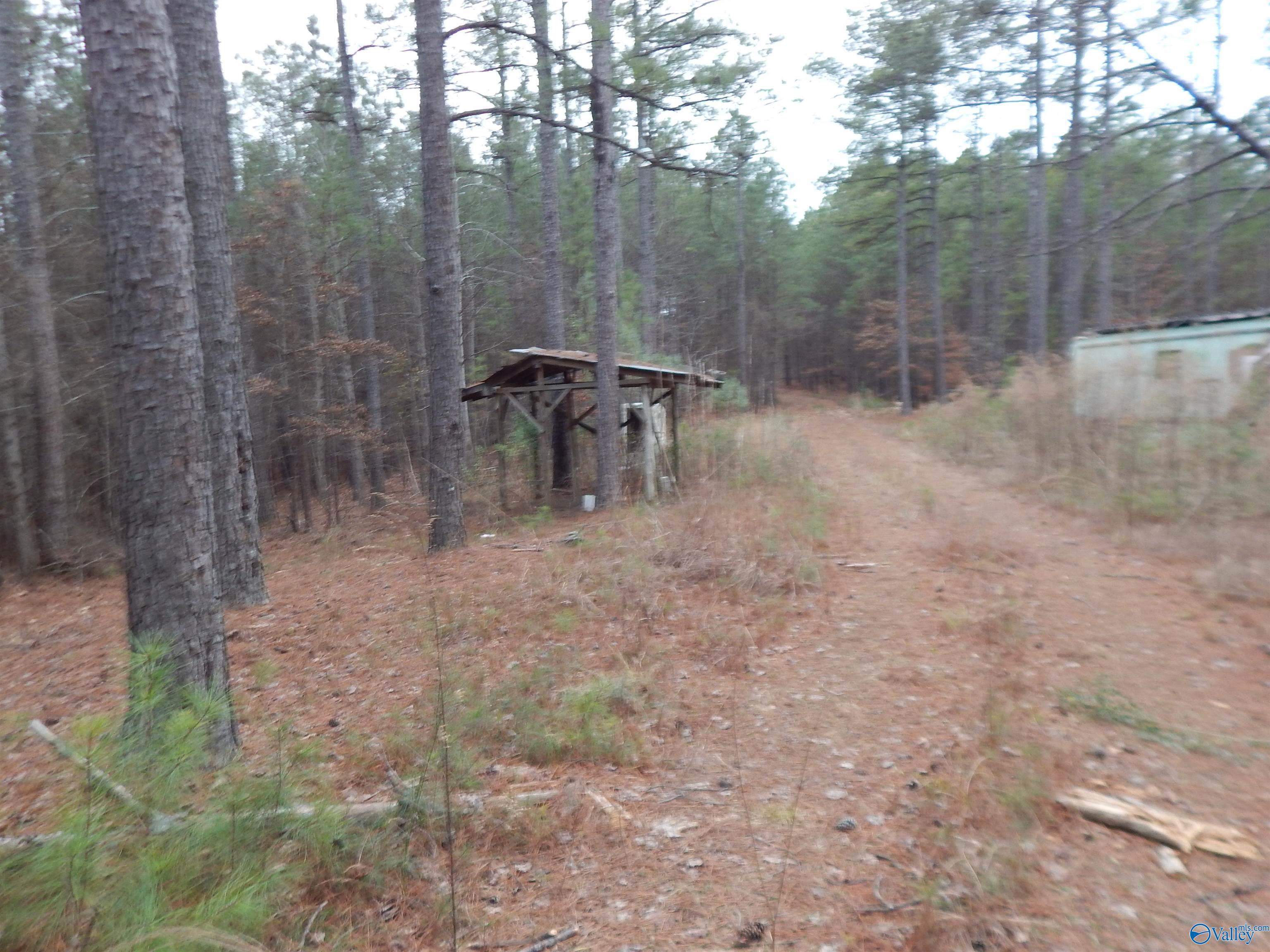 67 acres US Highway 280